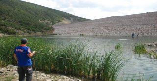 Kayıp Evrimi Balık Adamlar Arıyor