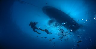 (Özel) Kravatlı Dalgıçlardan Mercan Avı