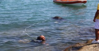 Gemiden Denize Düşen Angusu Kurtarma Operasyonu