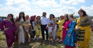 Kareside Lavanta Hasadı Yapıldı