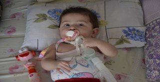 11 Ayılık Minik Elif Kalbindeki 11 Milimetrelik Delikle Yaşamaya Çalışıyor