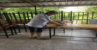 Müdür, Okul Sıralarını Zımparaladı Duvarları Boyadı