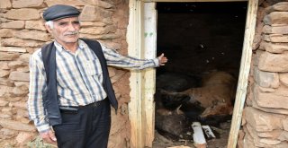 Sıcaktan Sığındıkları Kulübede Telef Oldular