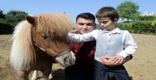 Osmangazide Ata Binmek İçin “Engel Yok”