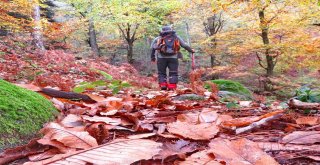 Keşif Yolcuları Kazdağlarında Sonbahar Renklerinin Peşinde