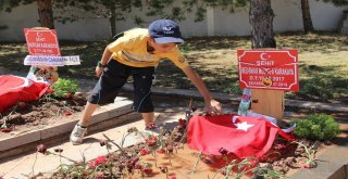 Şehit Bebeğin Ve Annenin Mezarında Hüzünlü Arefe