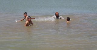 Gerçüşte Sıcaktan Bunalan Hayvanlarını Serinletiyorlar