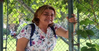 Antalyada Ağlatan Arazi İhalesi