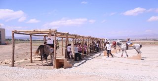 Türk Oyunları Festivaline Yoğun İlgi