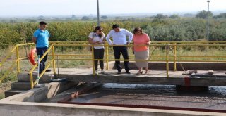 Keçiliköy Ve Karaoğlanlı Aatye Yerinde İnceleme