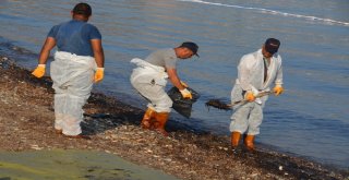Denizdeki Petrol Sızıntısının Kaynağını Tübitak Da Araştırıyor