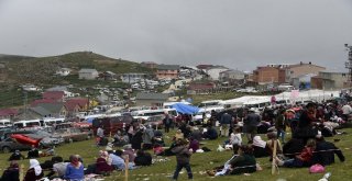 Teröre İnat Binlerce Kişi 173.güvende Yayla Şenliğinde Buluştu