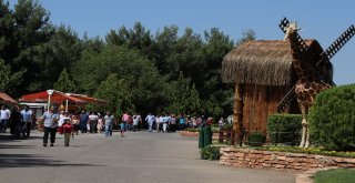 (Özel Haber) Gaziantep Hayvanat Bahçesi Rekorları Alt Üst Ediyor