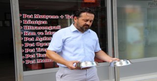 (Özel) Evcil Hayvanları Dışarı Bu Saatlerde Çıkarın