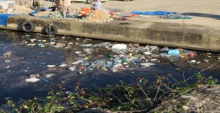 Sağanak Yağışla Gelen Çöpler Limanı Doldurdu