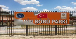 Gercüşte Yasin Börü Parkı İçler Acısı Durumda