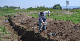 Başkan Bozkurt, Çalışmalarına Hız Verdi