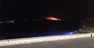 Sisam Adasında Yangın