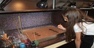 Serdivan Çocuk Akademisinde Eğlenerek Öğrendiler