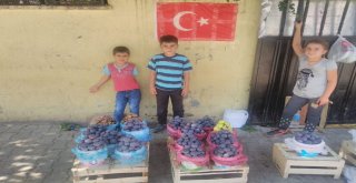 İncir Ve Semiz Otu Satarak Ailelerinin Geçimine Katkı Sağlıyorlar