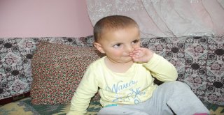 Evrimi En Son Gören 1,5 Yaşındaki Kardeşi Sati, Yengesine Emanet