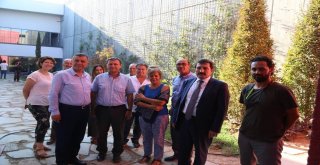 Vali Tavlıdan Troya Müzesinde İnceleme