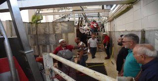 Başkan Dursun Ay, Hayvan Kesim Yerlerini Gezdi