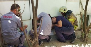 (Özel) Gittikleri Hastanede Kedi Sahiplendiler