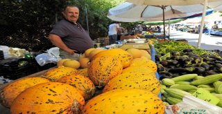 Taşeronun Kazandığı Fahiş Fiyatlara Üretici Darbesi