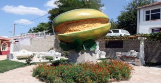 Muz Tadındaki Bağrıbütün Kavunun Hasadı Başladı