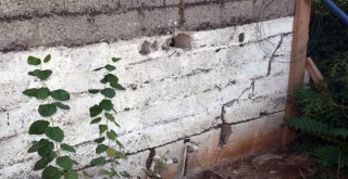 Gizemli Kazı Bitti Vatandaşın Derdi Bitmedi