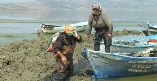 Denizi Olmayan Manisadan Uzak Doğuya Balık İhracatı