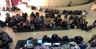 Yıldırımlılar Kültür Turlarıyla Türkiyeyi Geziyor