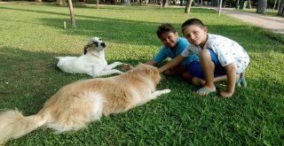 Kendileri Küçük, Yürekleri Büyük İki Minikten Ders Gibi Davranış