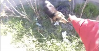 (Özel) E-5 Karayolunda “İnsanlık Ölmemiş” Dedirten Olay