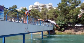 Adanada Termometreler 48 Dereceyi Gösterdi, Köpekler Göle Girdi