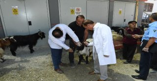 Bayramda Denetimler Arttı