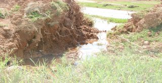 Yazın Ortasında Kışı Yaşıyorlar