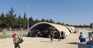 Ülkelerine Gitmek İsteyen Suriyeliler Öncüpınara Akın Etti