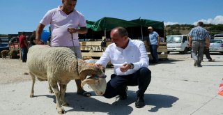 Bigada Ücretsiz Kesim Noktaları Oluşturuldu