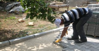 Başkan Tollu, Çalışmaları Yerinde İnceledi