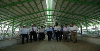 İlçelere Ekonomik Destek İçin Örnek Proje