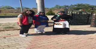 Türkoğlu: 11 Bin Hanede 32 Bin Kişiyi Ziyaret Ettik