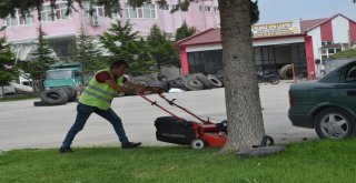 Şuhutta Çim Biçme Çalışmaları Tam Gaz Devam Ediyor