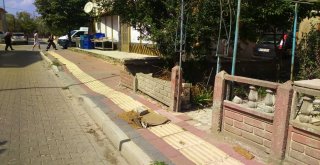 21 Aylık Aras İhmal Kurbanı Olacaktı