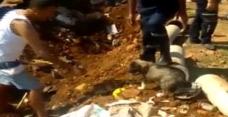 Su Borusunda Mahsur Kalan Yavru Köpek Kurtarıldı