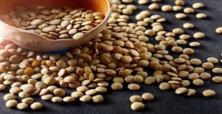 Egeli İhracatçı Ağustos Ayında Tatil Yapmadı