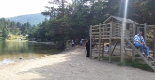 Limni Gölü Rekor Tazeledi