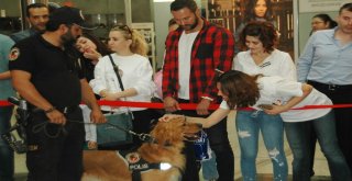 Dedektör Köpekler Halkla Buluştu