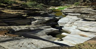 Türkiyeyi Karış Karış Geziyorlar